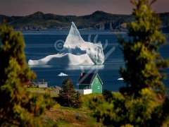 Back Harbour, iceberg & green house